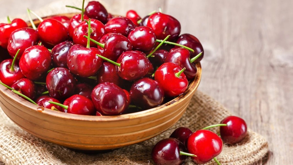 Cherry là quả gì, có mấy loại? Phân biệt cherry Mỹ với cherry Trung Quốc